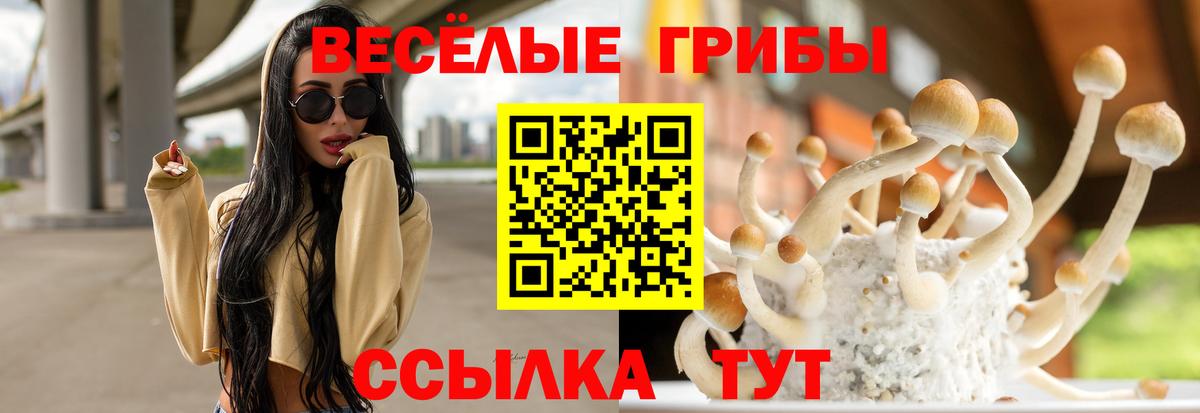 Шадринск  Псилоцибиновые грибы Magic Shrooms  Вход с VPN 