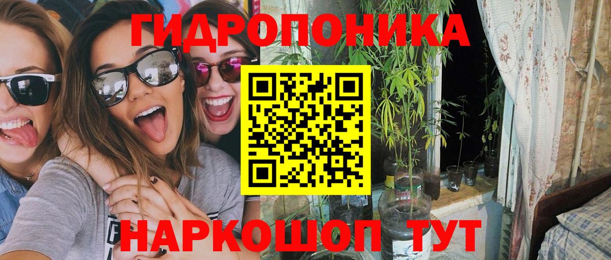 Каннабис Amnesia  Вход с VPN  Шадринск  Шишки марихуана планчик  Каннабис сатива 